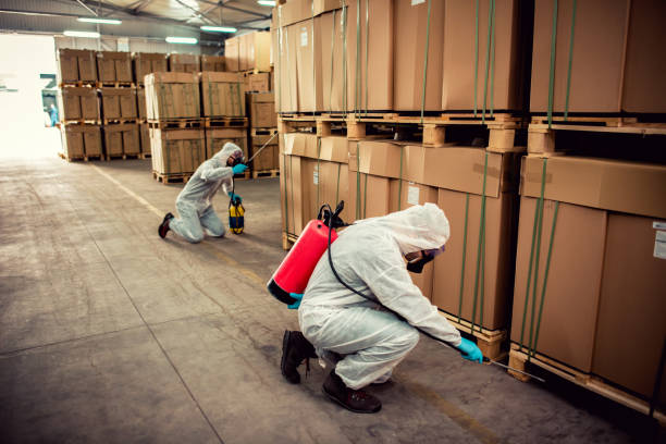 Best Affordable Pest Control Services  in Yeagertown, PA