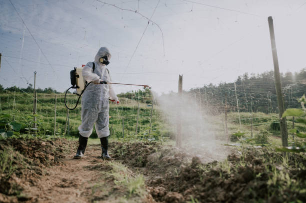 Best Pest Removal Services  in Yeagertown, PA