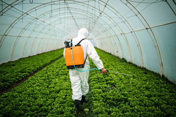 Best Affordable Pest Control Services  in Yeagertown, PA