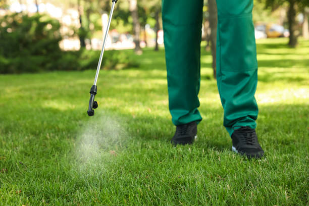 Best Flea Control Services  in Yeagertown, PA