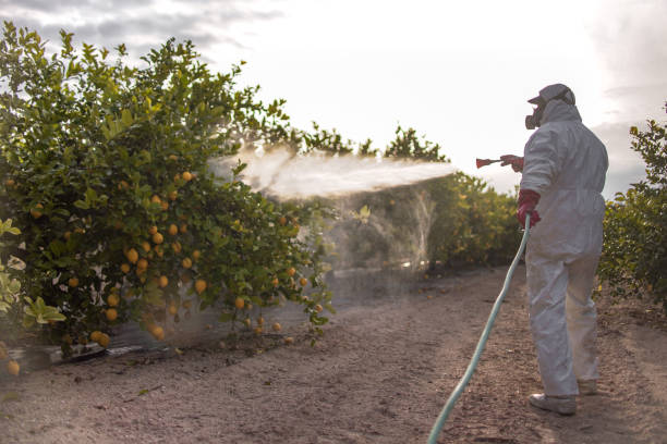 Trusted Yeagertown, PA Pest Control Experts