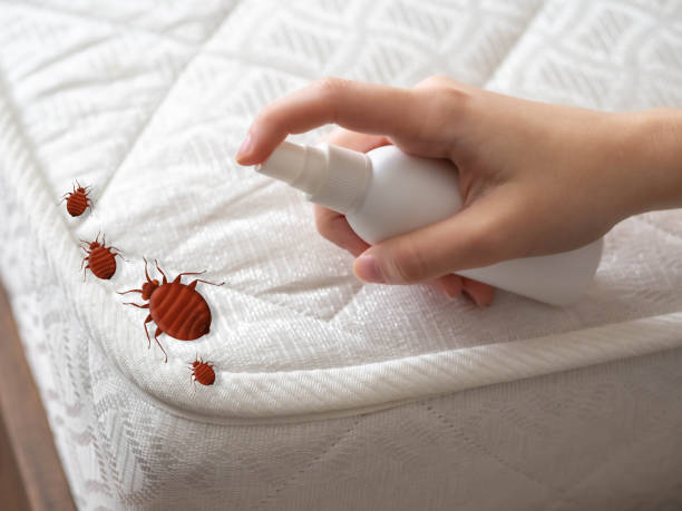 Wasp Removal Services in Yeagertown, PA