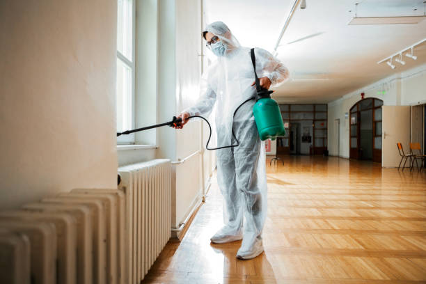 Best Wasp Removal Services  in Yeagertown, PA