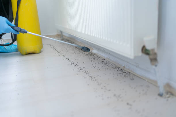 Best Ant Control Services  in Yeagertown, PA