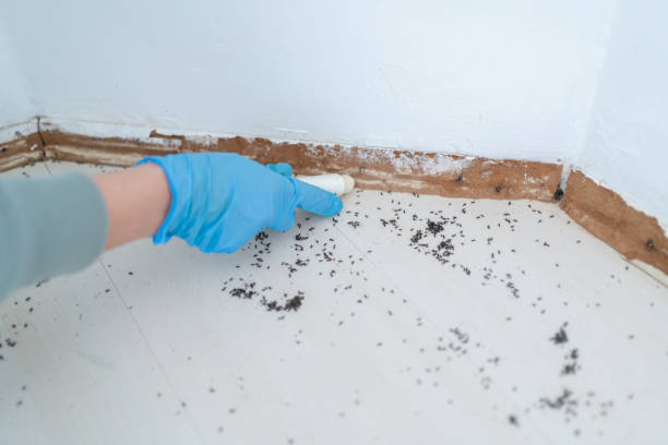 Best Pest Prevention Services  in Yeagertown, PA