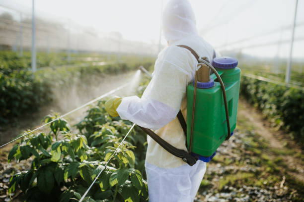 Best Exterminator Services  in Yeagertown, PA